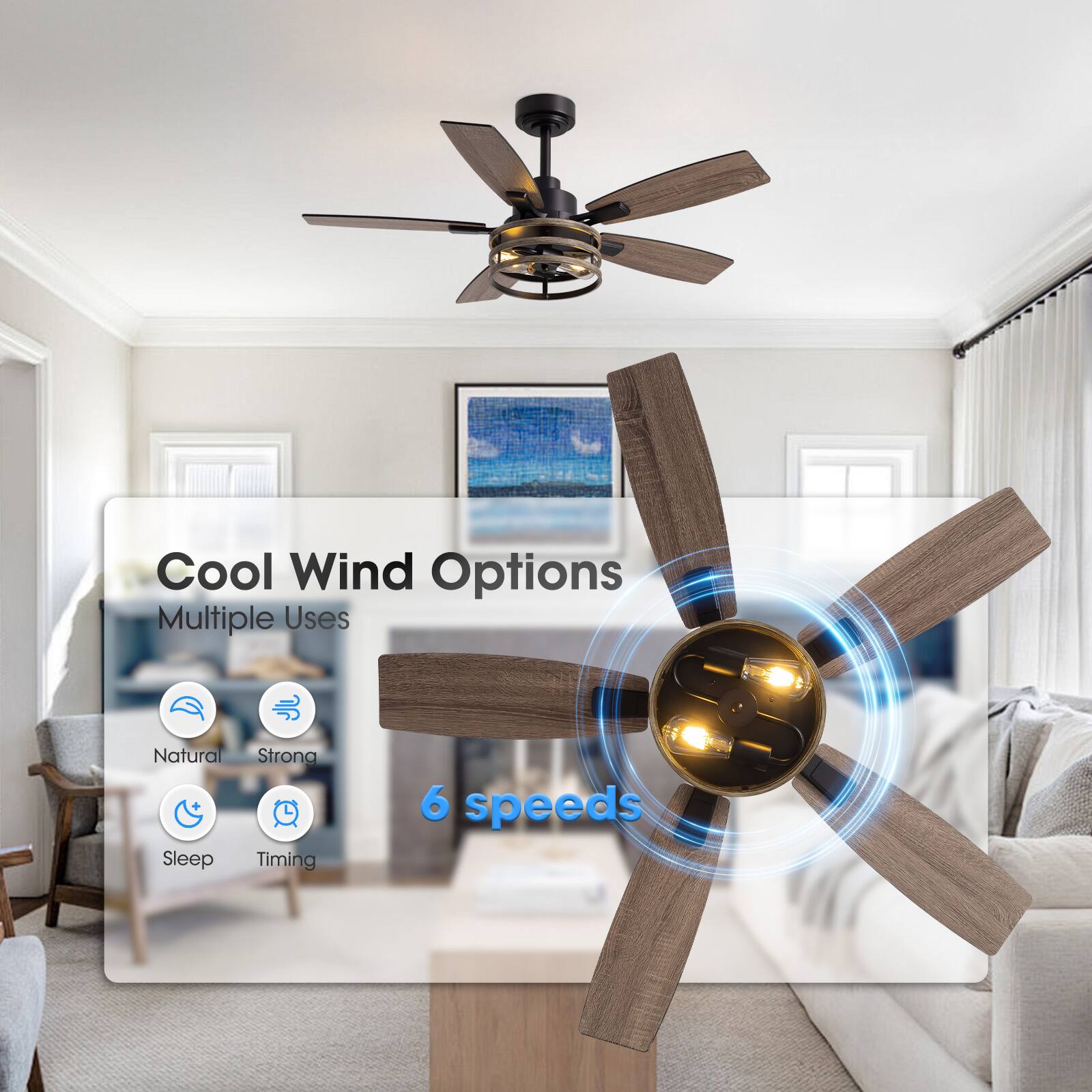 Cool Wind Options  
Multiple Uses  
Natural  
Strong  
Sleep  
Timing  
6 speeds