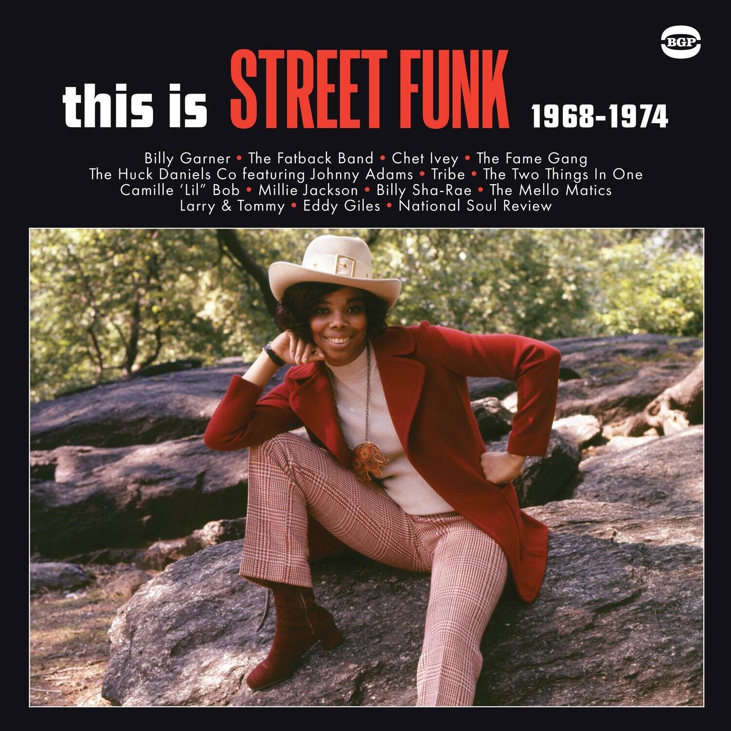 this is STREET FUNK 1968-1974

Billy Garner • The Fatback Band • Chet Ivey • The Fame Gang • The Huck Daniels Co featuring Johnny Adams • Tribe • The Two Things In One • Camille 'Lil' Bob • Millie Jackson • Billy Sha-Rae • The Mello Matics • Larry & Tommy • Eddy Giles • National Soul Review