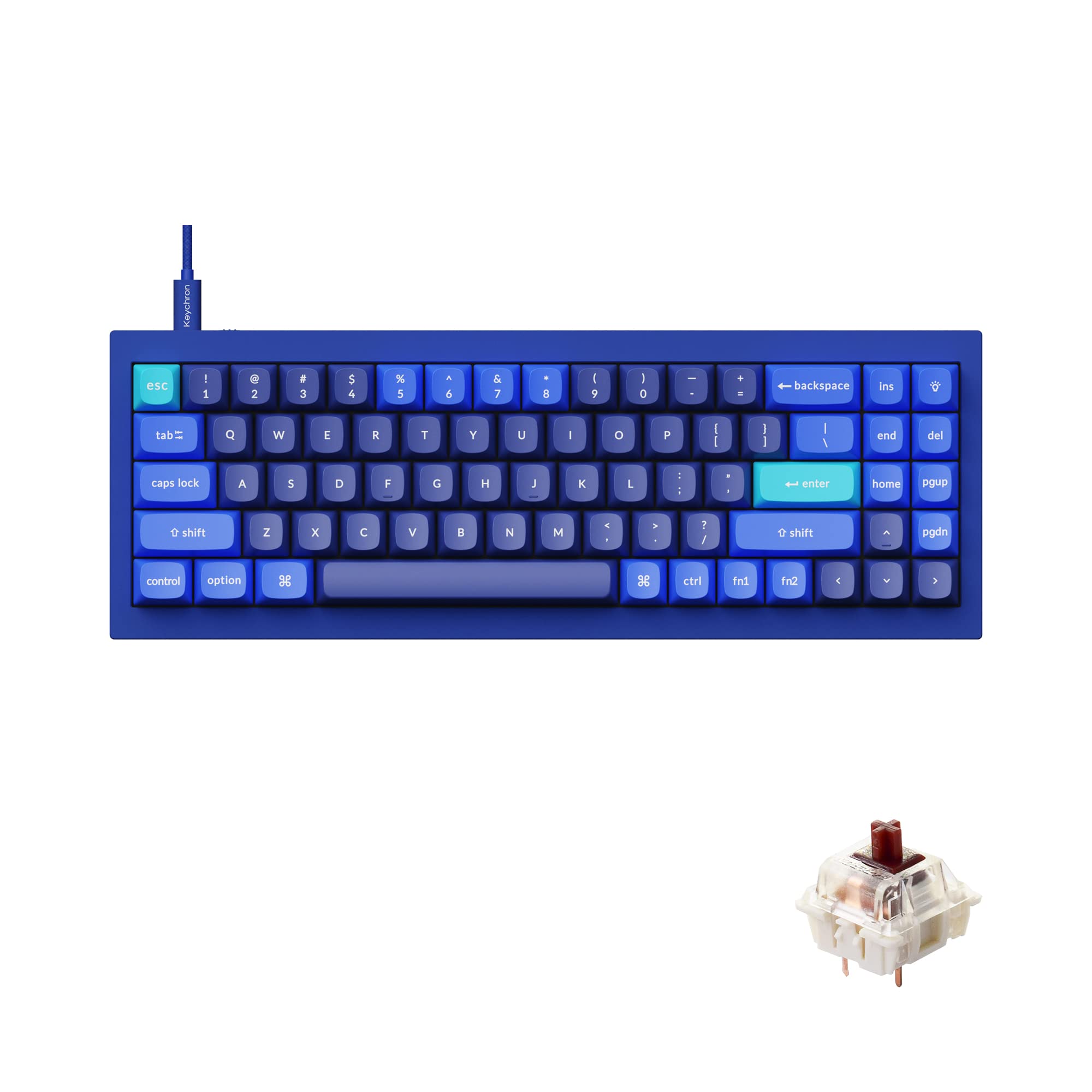 Gateron G Pro Brown Switch - Blue