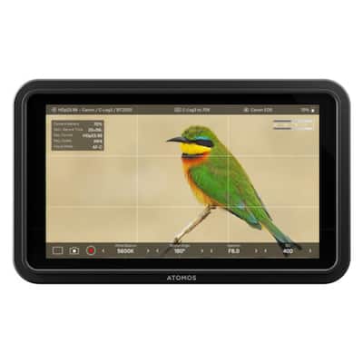 Atmosflare Atomos Shinobi II 5 Inch HDMI 4K Monitor Black Atmosflare Atomos Shinobi II 5 Inch HDMI 4K Monitor Black