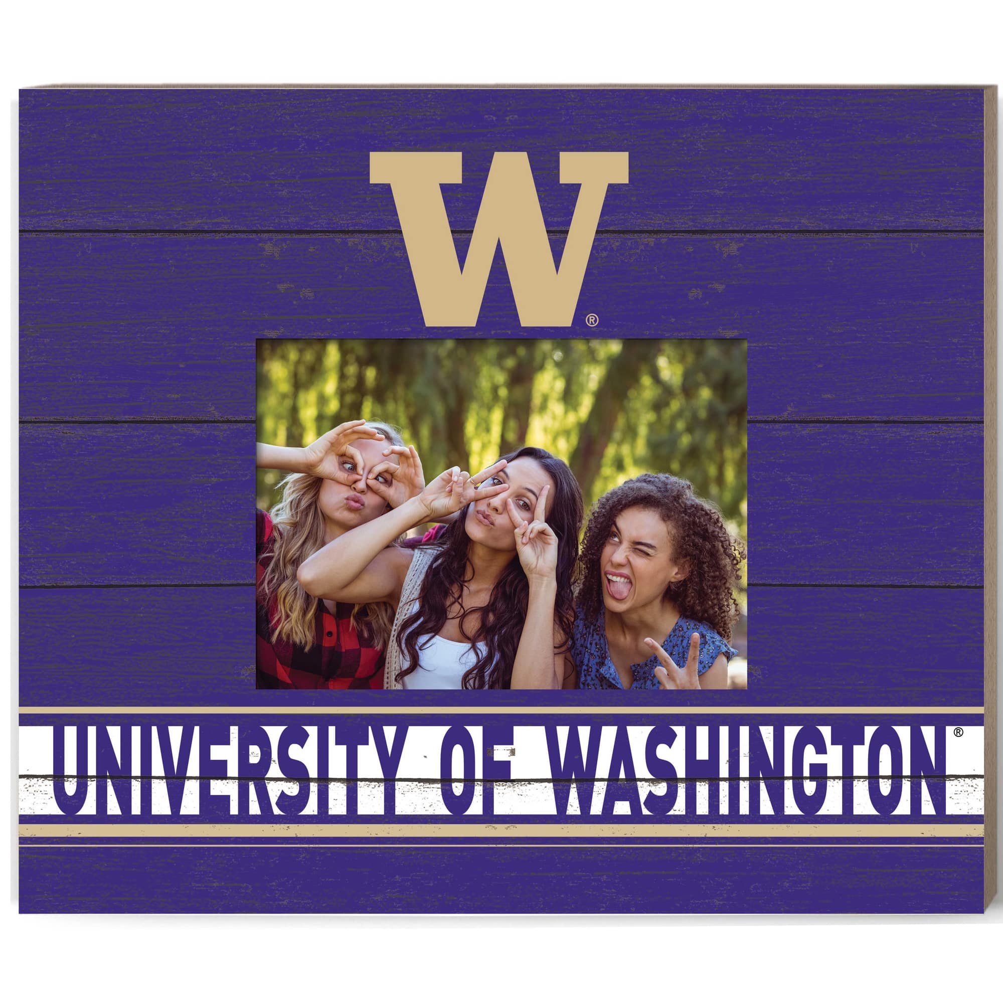 Jardine - Washington Huskies 11'' x 13'' Team Spirit Picture Frame - Purple price history on PriceWatchPro