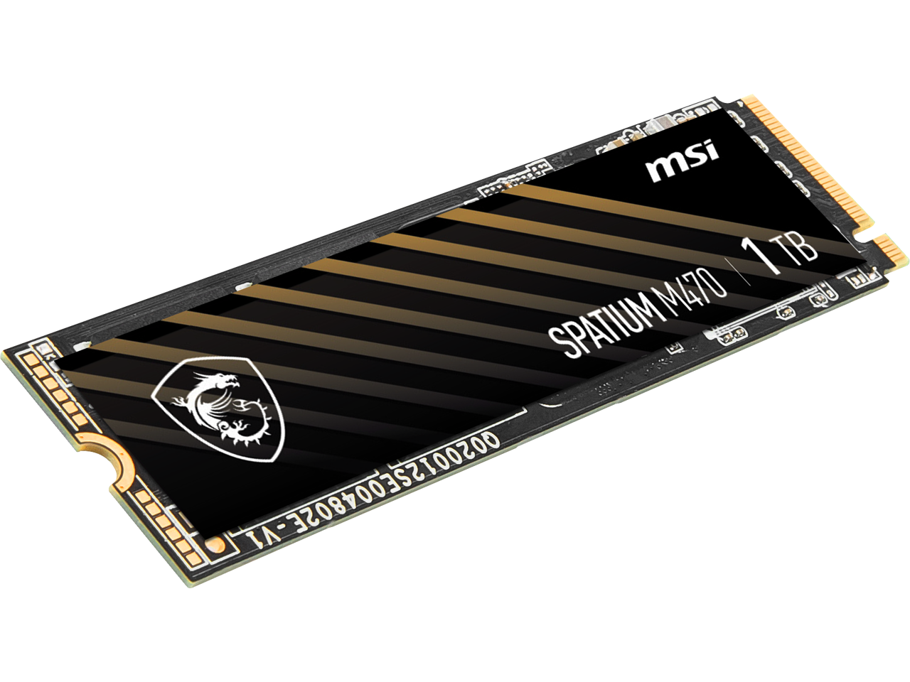 MSI SPATIUM M470 1TB  
320870032100200