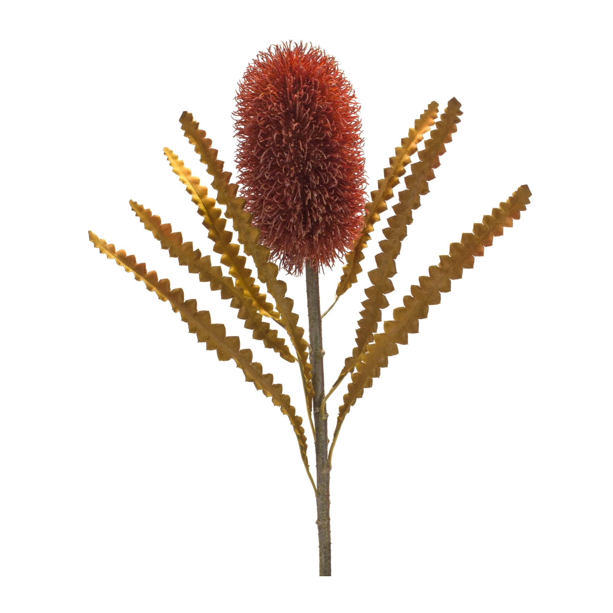Angle. BreeBe - Burnt Orange Banksia Floral Stem (Set of 6) - Green, Red.