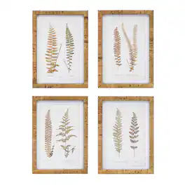 BreeBe - Wood Framed Fern Print (Set of 4) - Brown, White