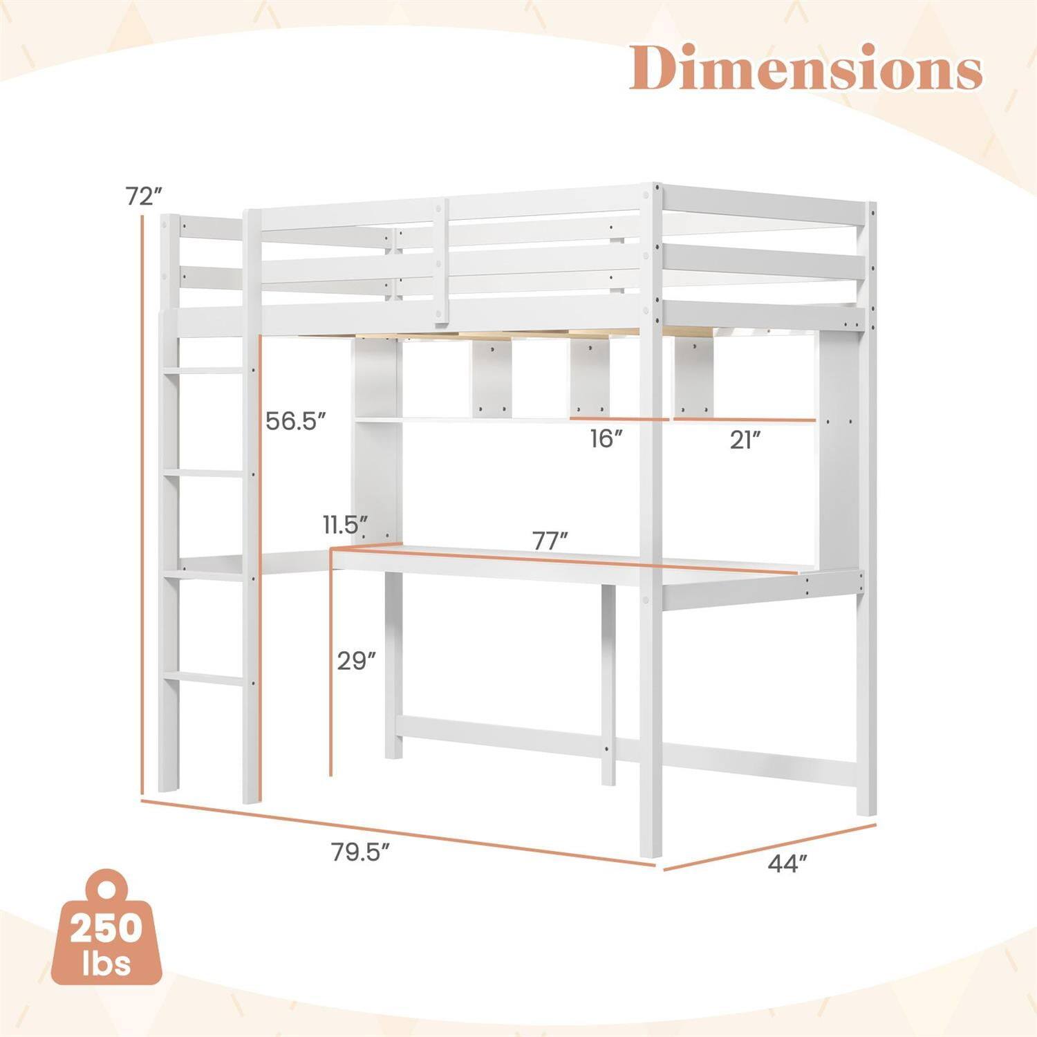 Dimensions:  
- Height: 72"  
- Width: 56.5"  
- Depth: 21"  
- Ladder Width: 16"  
- Bed Height: 77"  
- Shelf Height: 11.5"  
- Overall Depth: 79.5"  
- Overall Width: 44"  
- Weight Capacity: 250 lbs