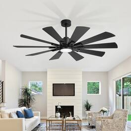 Breezary - 62-Inch Modern Ceiling Fan with 10 Plywood Blades, DC Motor, 6-Speed Remote, 3-Color Dimmable LED Light, Dual Downrods - Matte Black