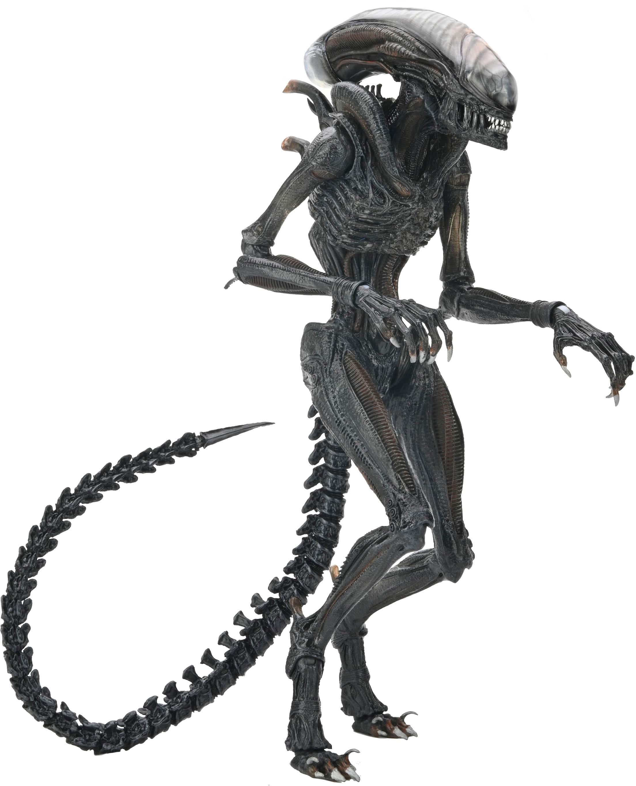 Left. NECA - Alien : Romulus 7" Scale Action Figure-Ultimate Scorched Xenomorph.