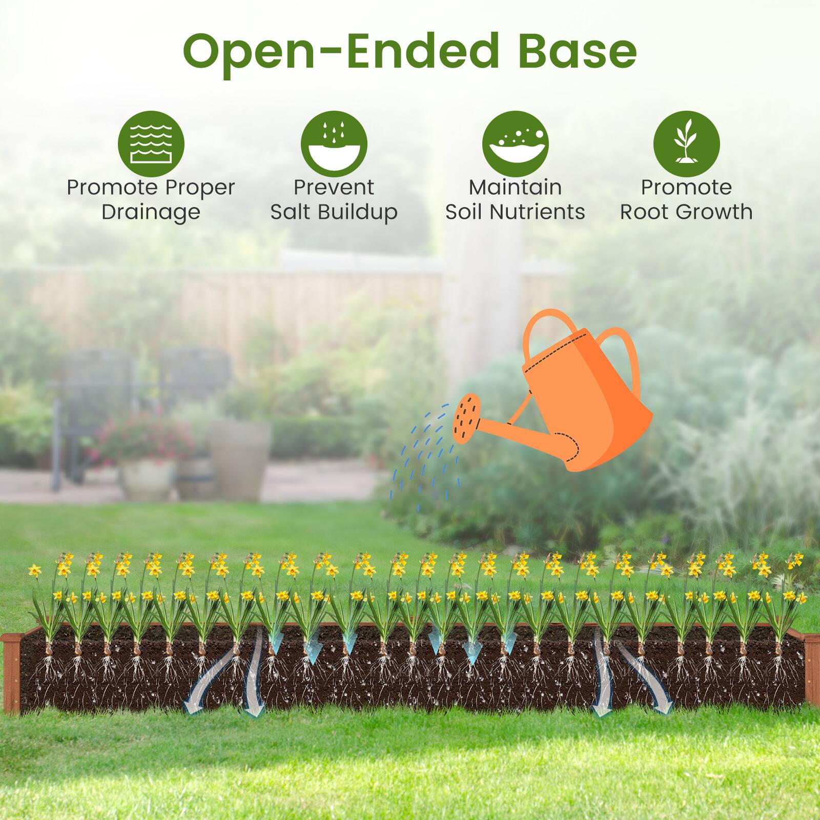 Open-Ended Base

- Promote Proper Drainage
- Prevent Salt Buildup
- Maintain Soil Nutrients
- Promote Root Growth