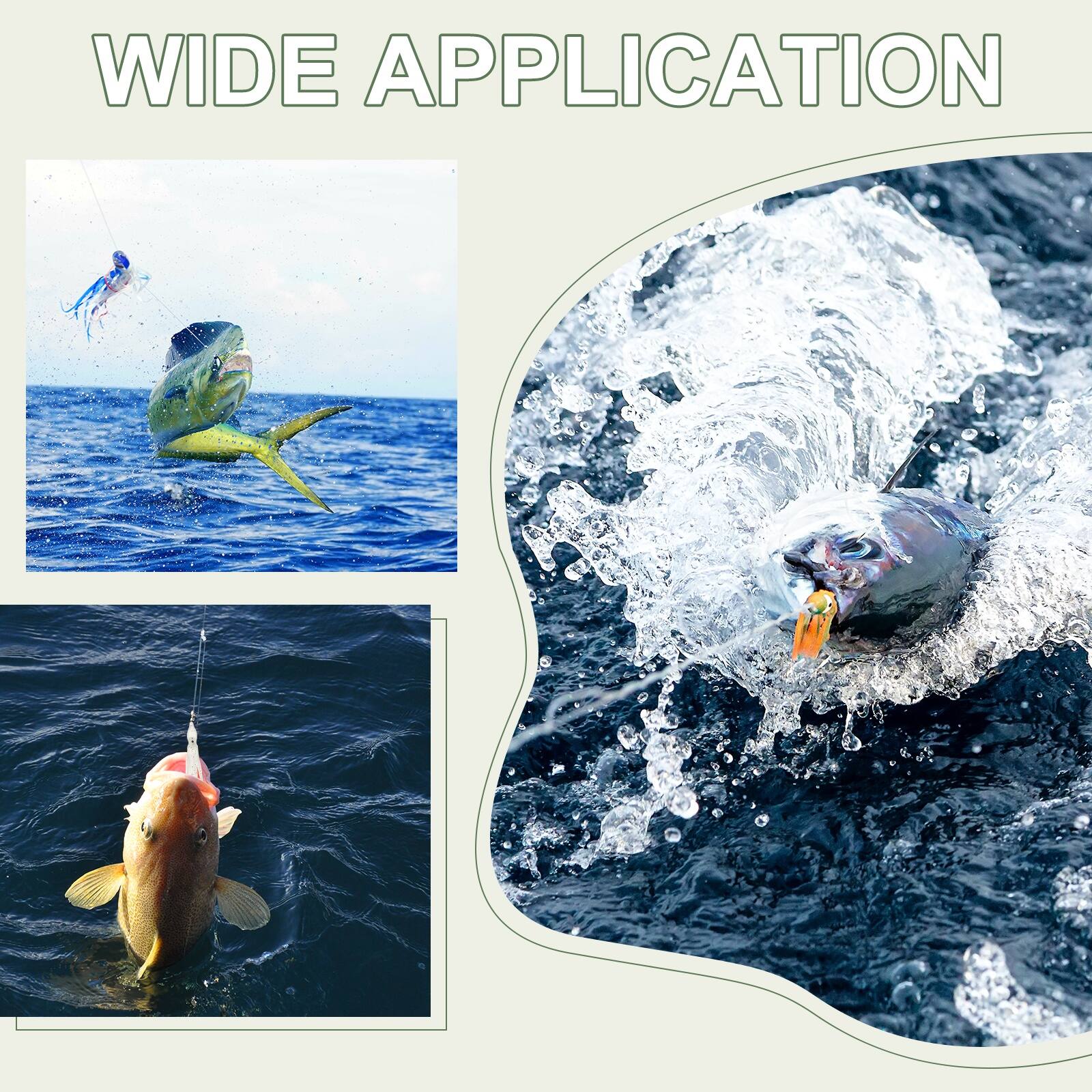 WIDE APPLICATION