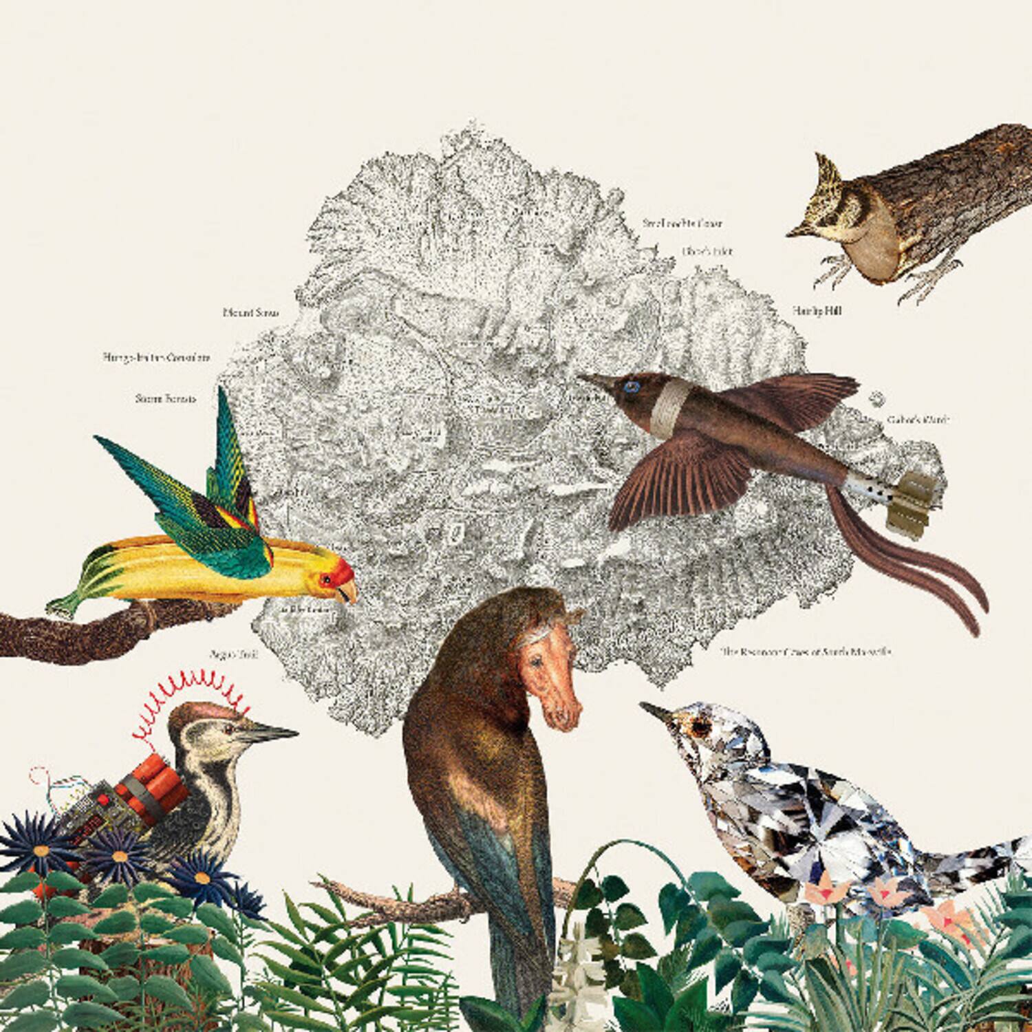 Friendly Rich - The Birds of Marsville   - VINYL LP price history on PriceWatchPro