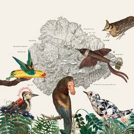 Friendly Rich - The Birds of Marsville - VINYL LP