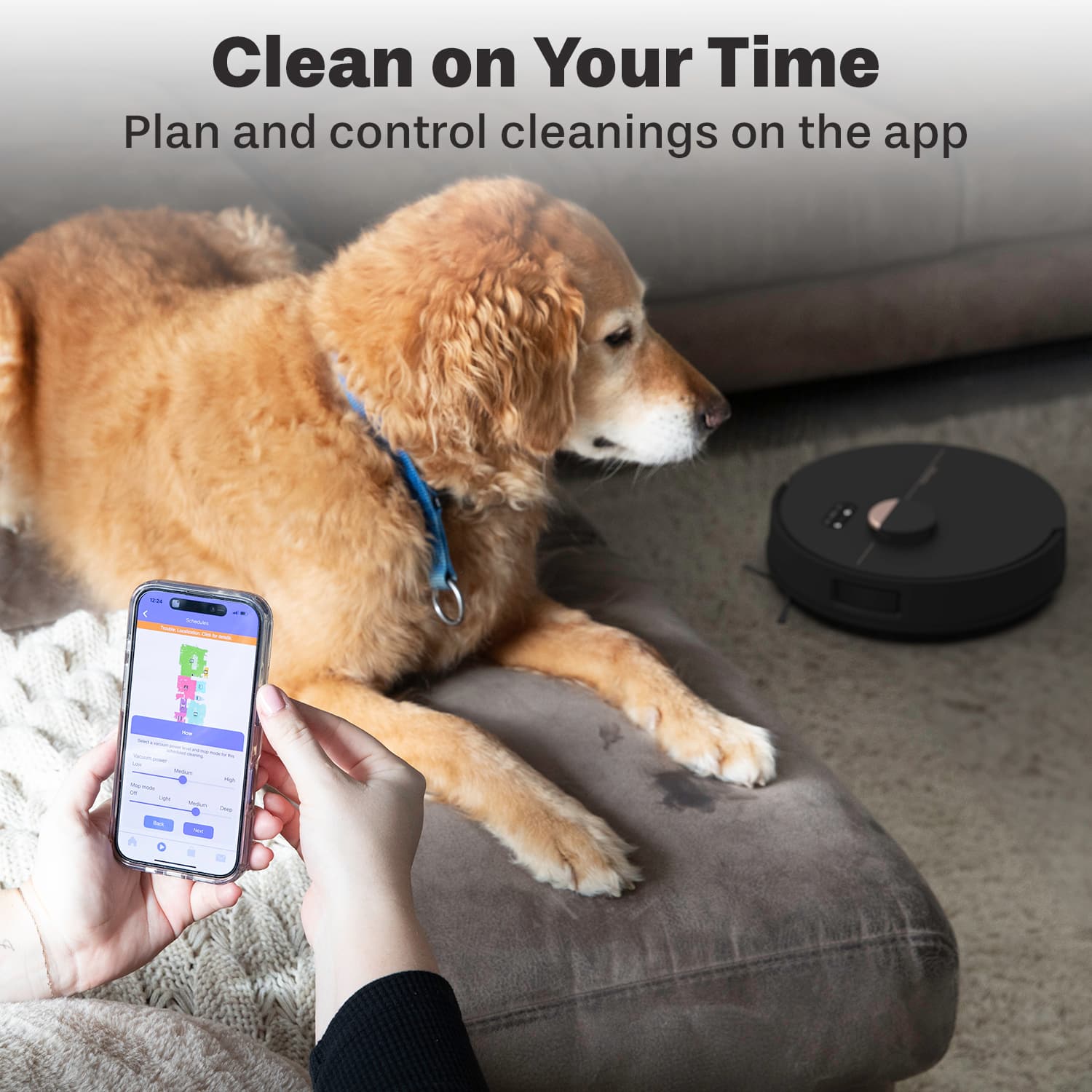 Clean on Your Time
Plan and control cleanings on the app