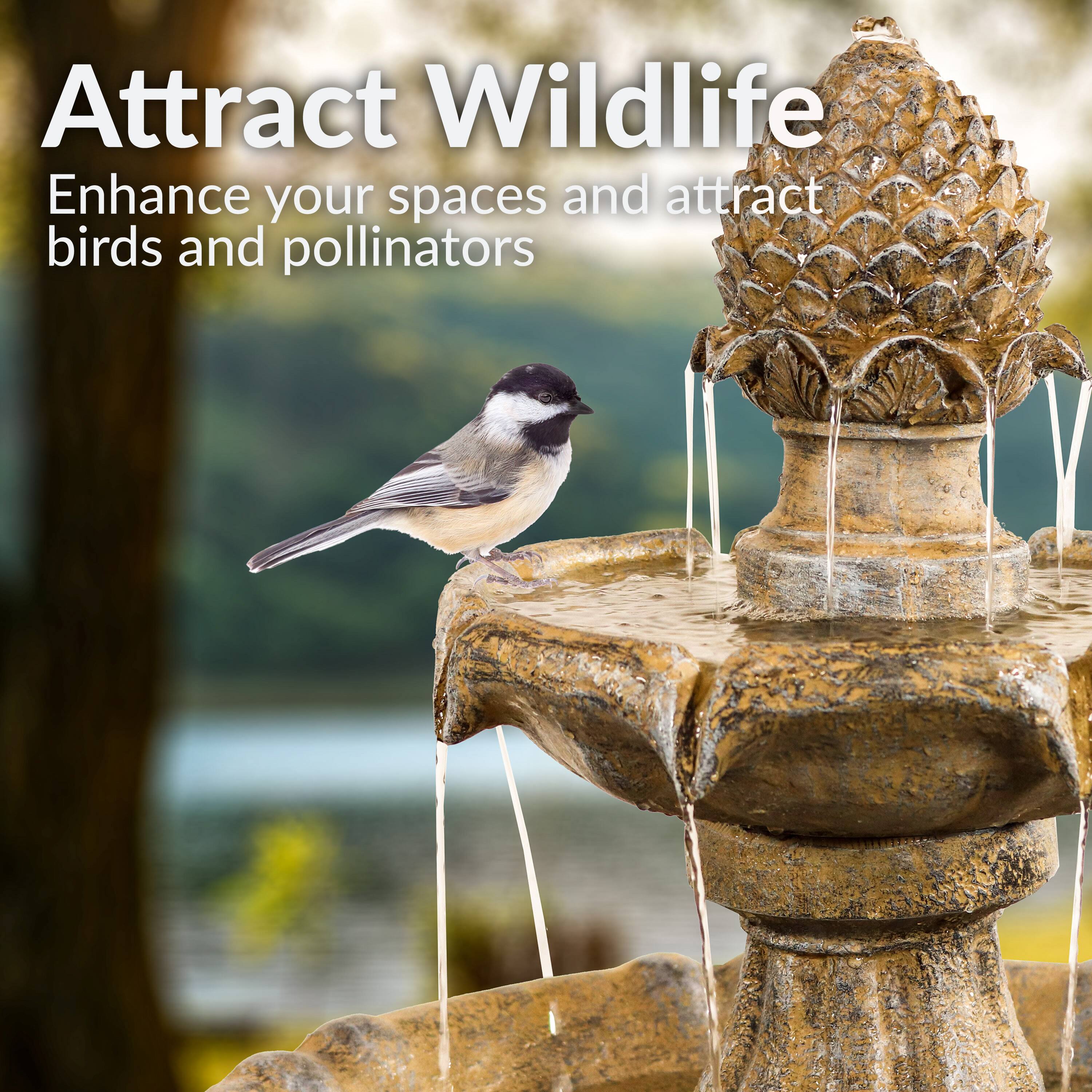 Attract Wildlife  
Enhance your spaces and attract birds and pollinators
