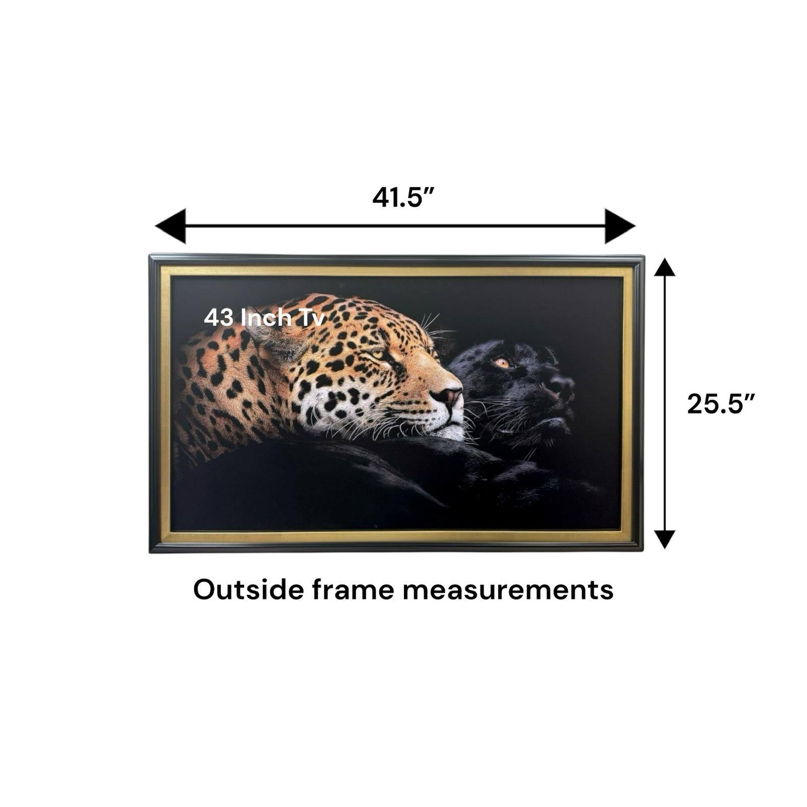 41.5" x 25.5" Outside frame measurements

43 Inch Tv
