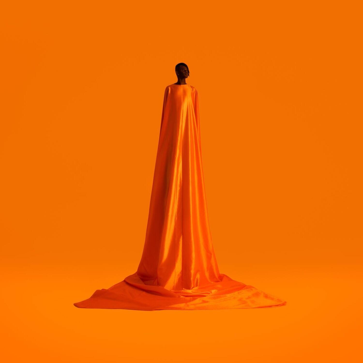 Front. Wayne Snow - Figurine   - VINYL LP.