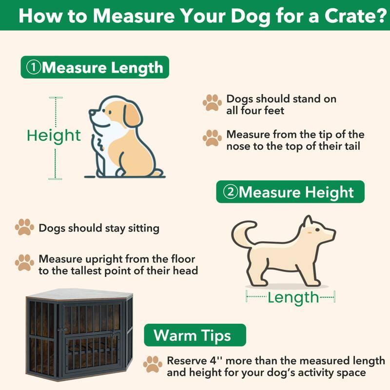 How to Measure Your Dog for a Crate?

1. Measure Length
   - Dogs should stand on all four feet
   - Measure from the tip of the nose to the top of their tail

2. Measure Height
   - Dogs should stay sitting
   - Measure upright from the floor to the tallest point of their head

Warm Tips
- Reserve 4" more than the measured length and height for your dog's activity space