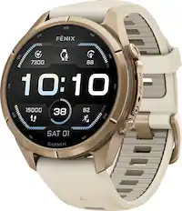60
FÉNIX
50 7300 88 0 10:10 15000 38 82 40 !! 20
FÉNIX
SAT 01
GARMIN