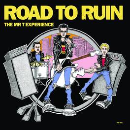 The Mr. T Experience - Road To Ruin - VINYL LP