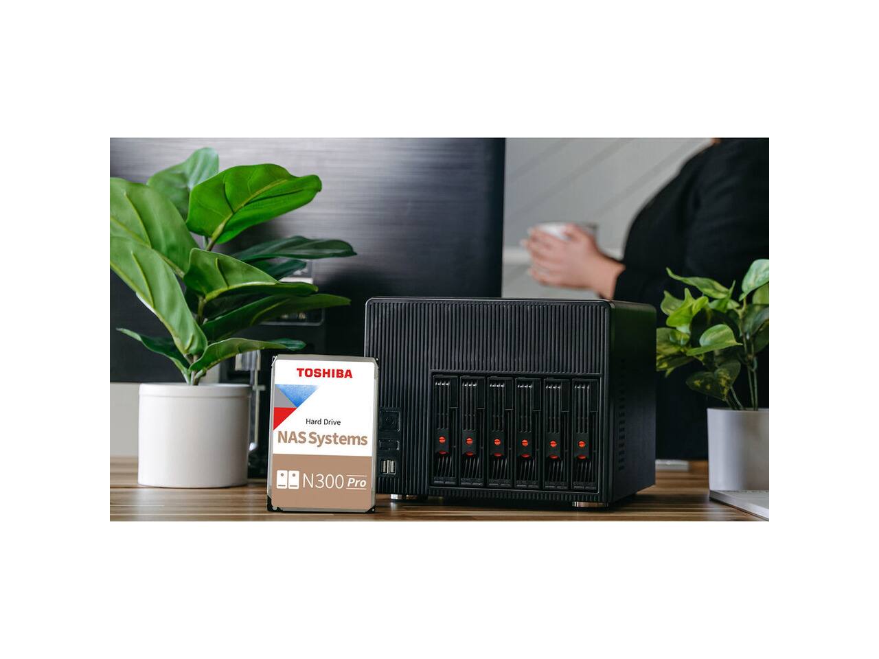 TOSHIBA  
Hard Drive NAS Systems  
N300 Pro