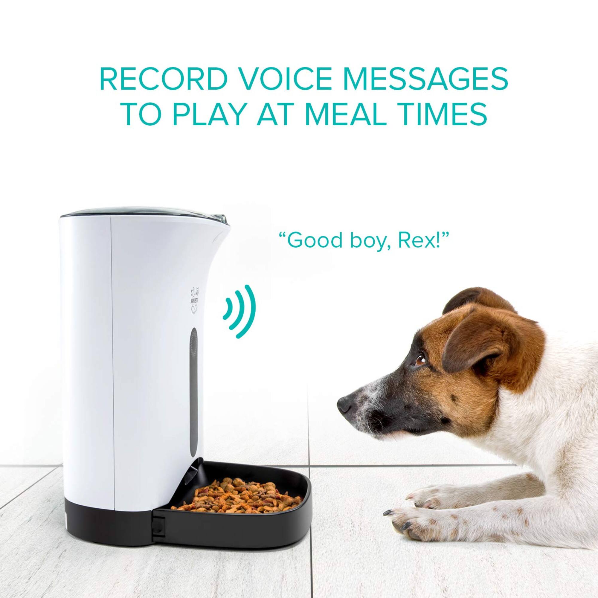 RECORD VOICE MESSAGES TO PLAY AT MEAL TIMES "Good boy, Rex!"