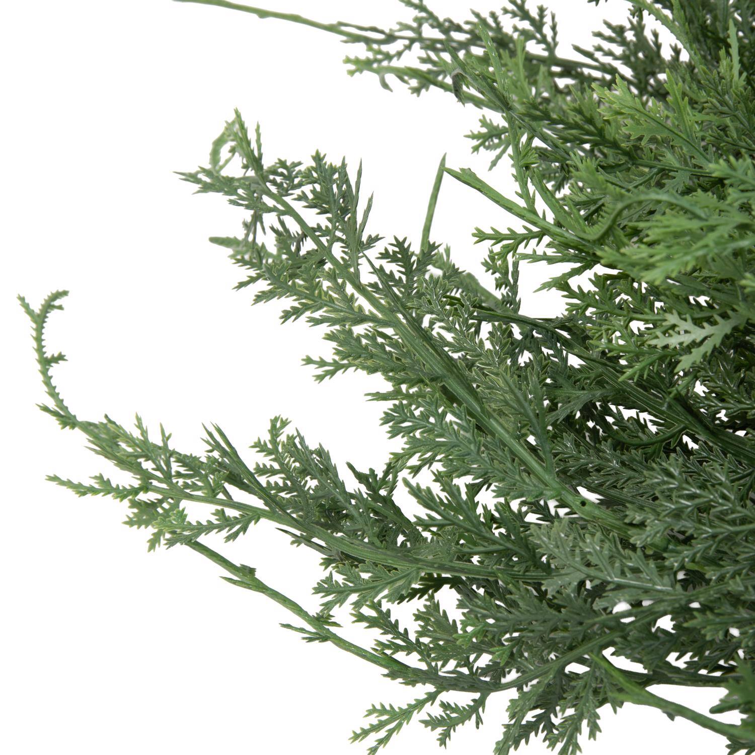 Angle. Celebrations - Celebrations 9 ft. L Unlit Everyday Garland - Green.