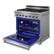 Back. Thor Kitchen - 6.0 Cu Ft. Freestanding Liquid Propane Gas Range with Infrared Broiler - Stainless Steel.