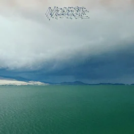 Modest Mouse - Fruit That Ate Itself - VINYL LP