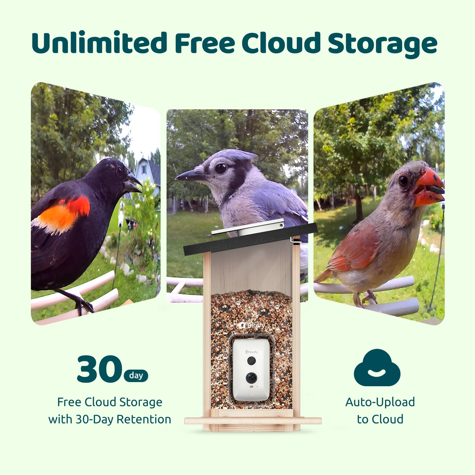 Unlimited Free Cloud Storage  
Birdry 30 day Free Cloud Storage with 30-Day Retention  
Birdry Auto-Upload to Cloud