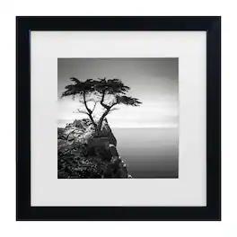 Trademark Fine Art - Dave MacVicar 'The Lone Cypress' Matted Framed Art - Multicolor