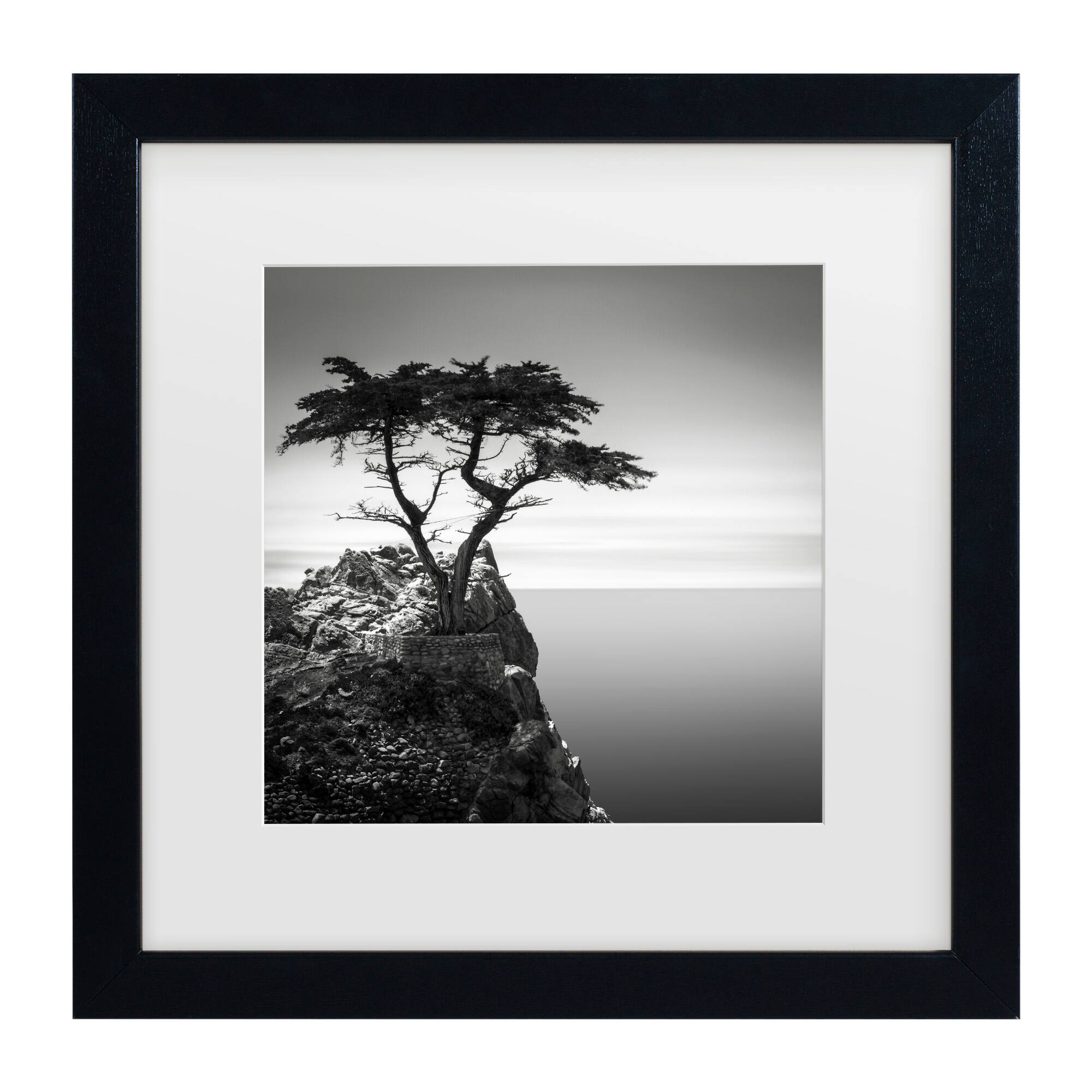 Front. Trademark Fine Art - Dave MacVicar 'The Lone Cypress' Matted Framed Art - Multicolor.