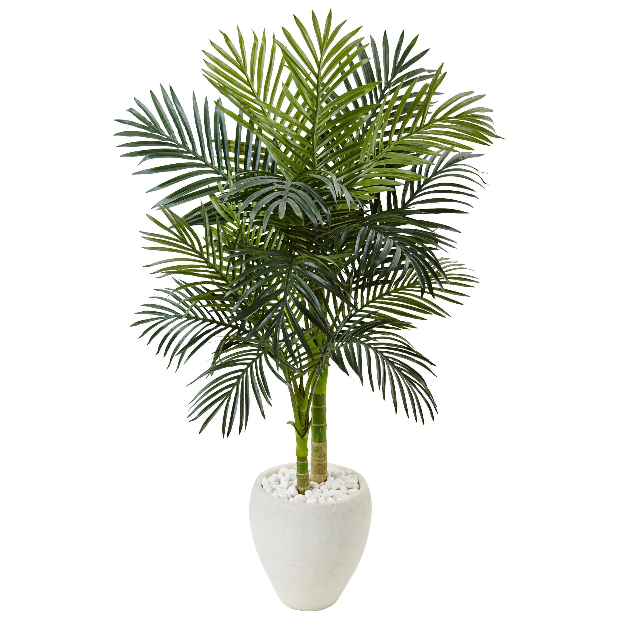 Front. BreeBe - 4.5' Golden Cane Palm Tree in White Oval Planter - Green.