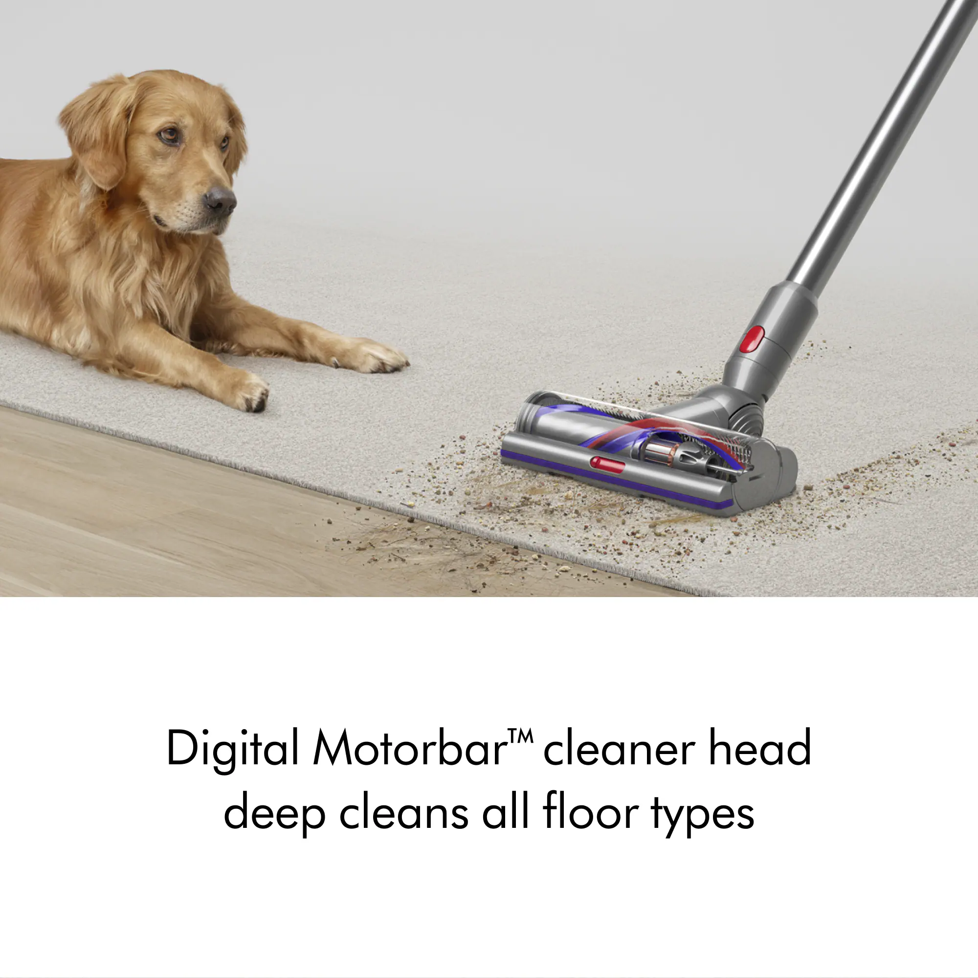 Digital Motorbar™ cleaner head deep cleans all floor types