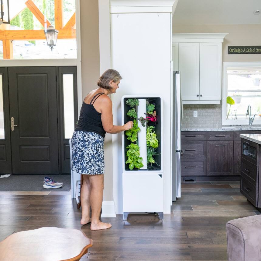 Our Family Is A Gicle of Seeds