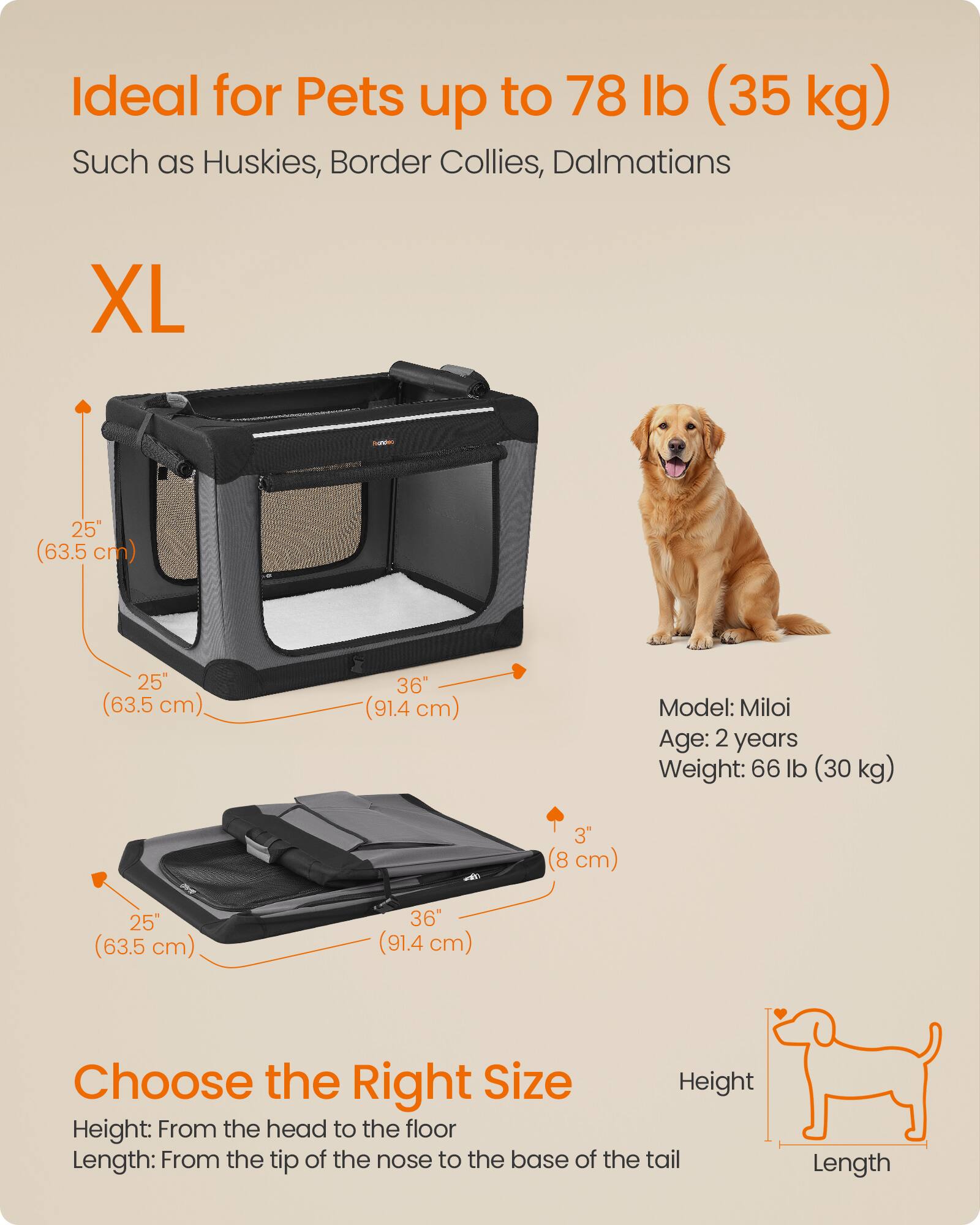 Ideal for Pets up to 78 lb (35 kg)  
Such as Huskies, Border Collies, Dalmatians

XL  
25" (63.5 cm)  
25" (63.5 cm)  
36" (91.4 cm)

Model: Miloi  
Age: 2 years  
Weight: 66 lb (30 kg)  
3" (8 cm)  
25" (63.5 cm)  
36" (91.4 cm)

Choose the Right Size  
Height: From the head to the floor  
Length: From the tip of the nose to the base of the tail