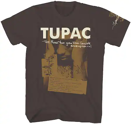 TUPAC
The Rose That Grew From Concrete
Autobiographical
I never thought about the rose that grew from concrete.
In the concrete, it had to fight to grow.
Without the sun, it had to find a way to survive.
Funny, it grew strong.
It learned to breathe fresh air.
Long live the rose that grew from concrete.
No one else could care!
I grew from a crack.
I learned to walk.
Keeping my dreams fresh.
I grew from concrete.
I cared!
