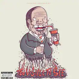 Sultan Mir & Recognize Ali - Too Visible Too See - VINYL LP