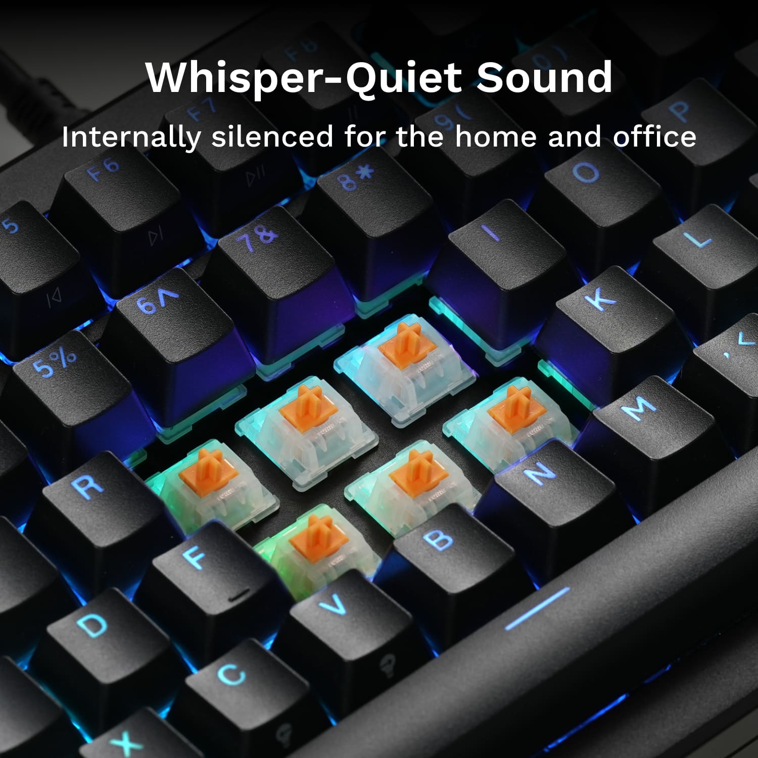 Whisper-Quiet Sound: Internally silenced for the home and office.