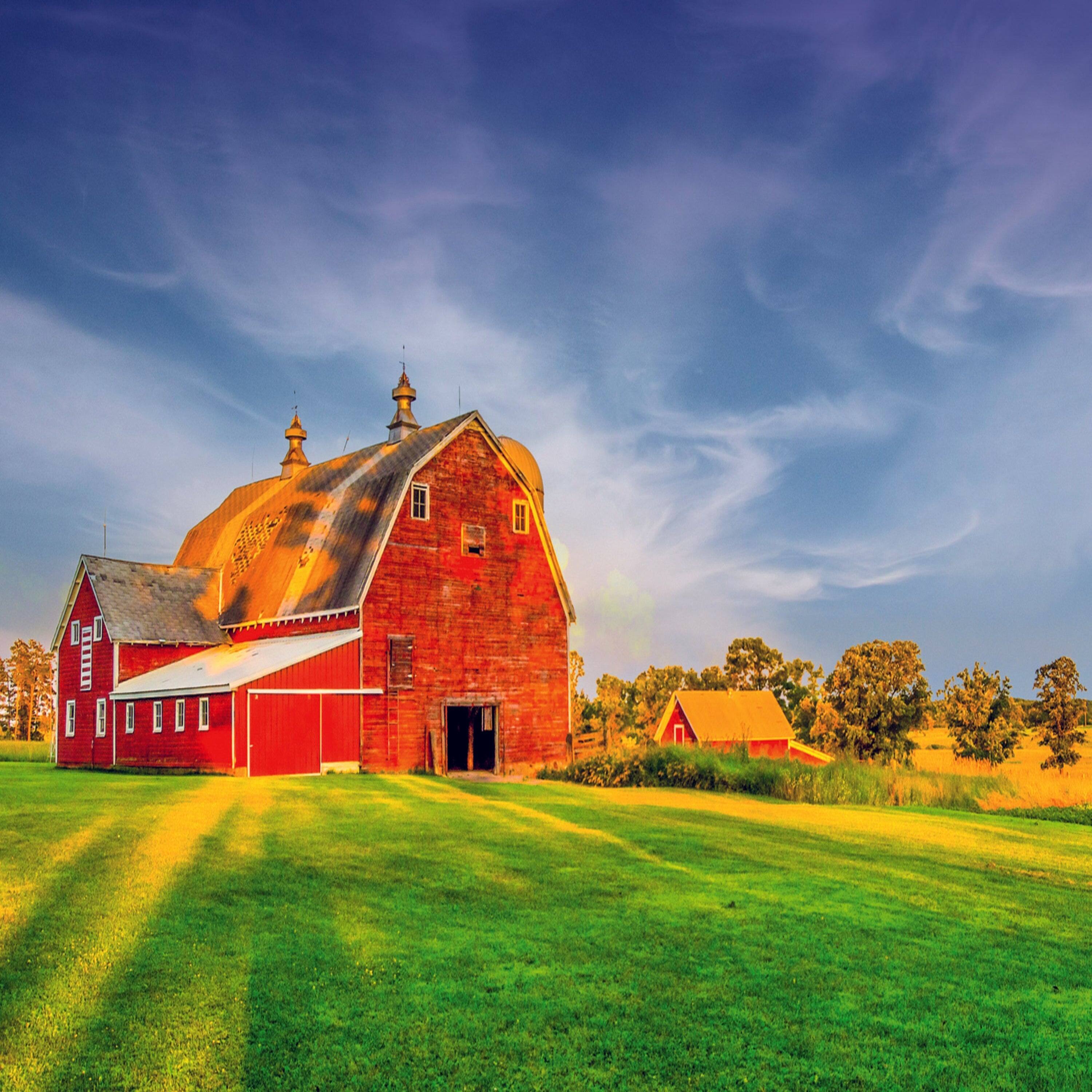 Angle. Trefl - Trefl Red 500 Piece Puzzle - Nature - Classic Red Barn.