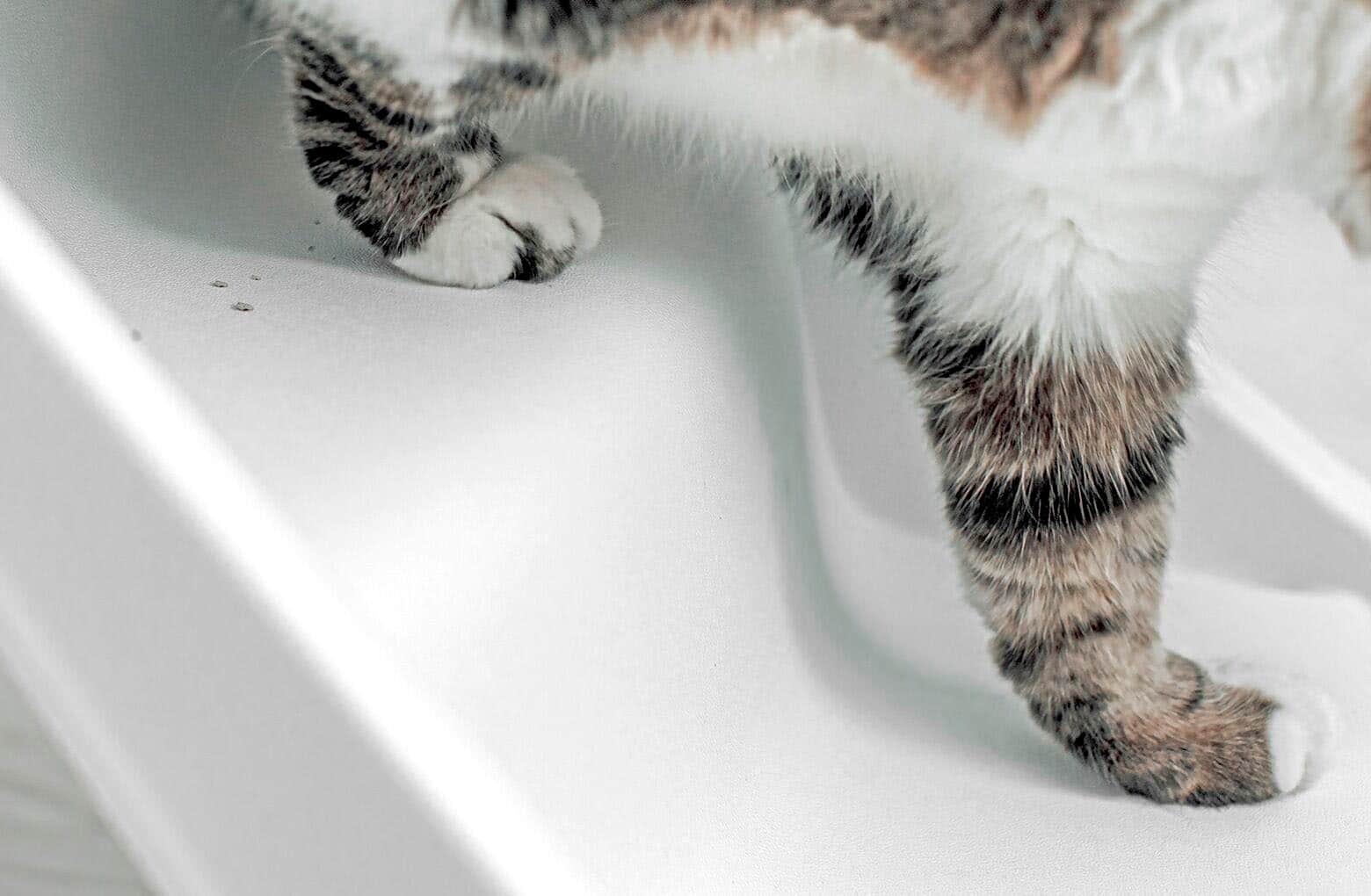 Back. Whisker - Litter-Robot 4 Ramp - Black.