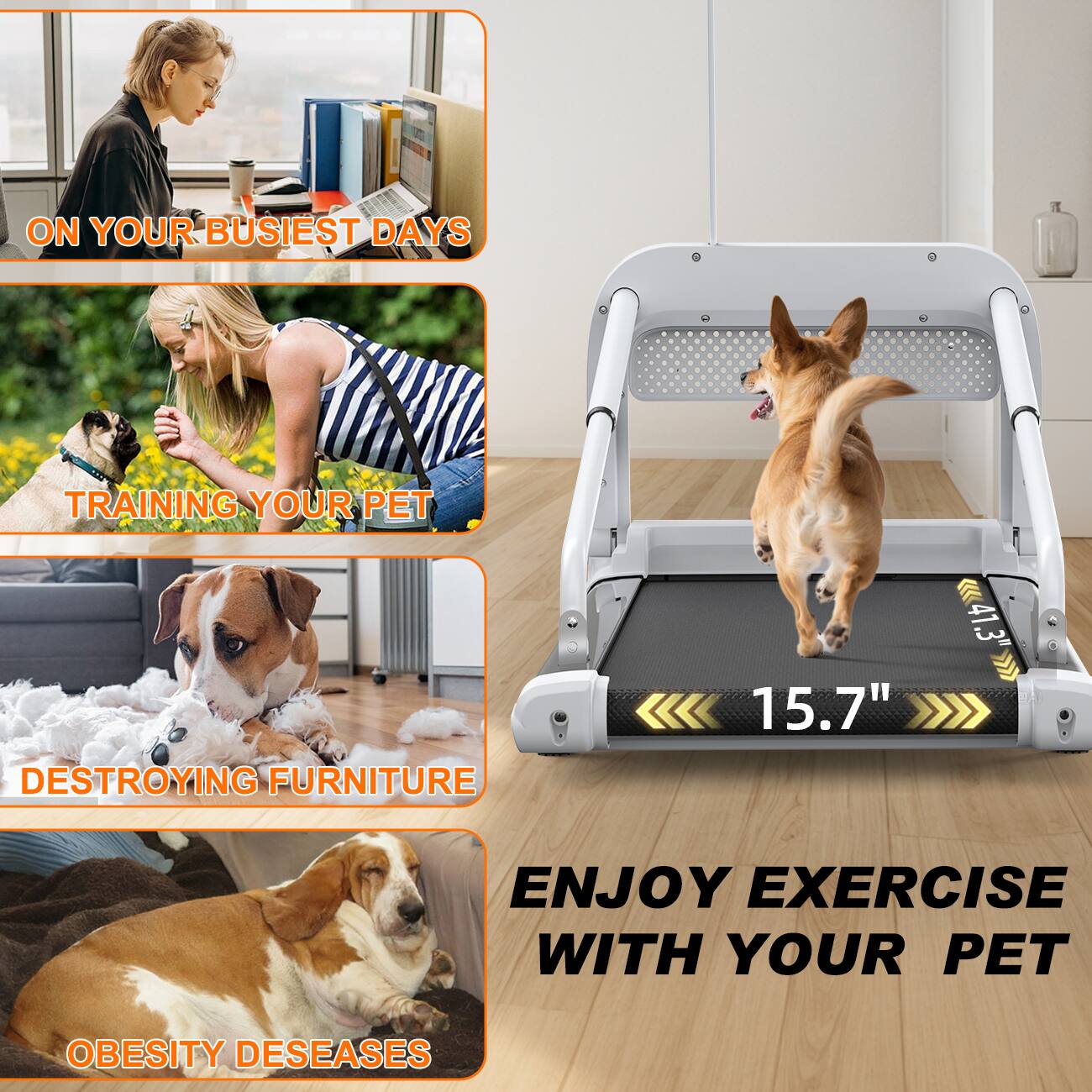 - On your busiest days
- Training your pet
- Destroying furniture
- Enjoy exercise with your pet
- Obesity diseases
- 15.7"