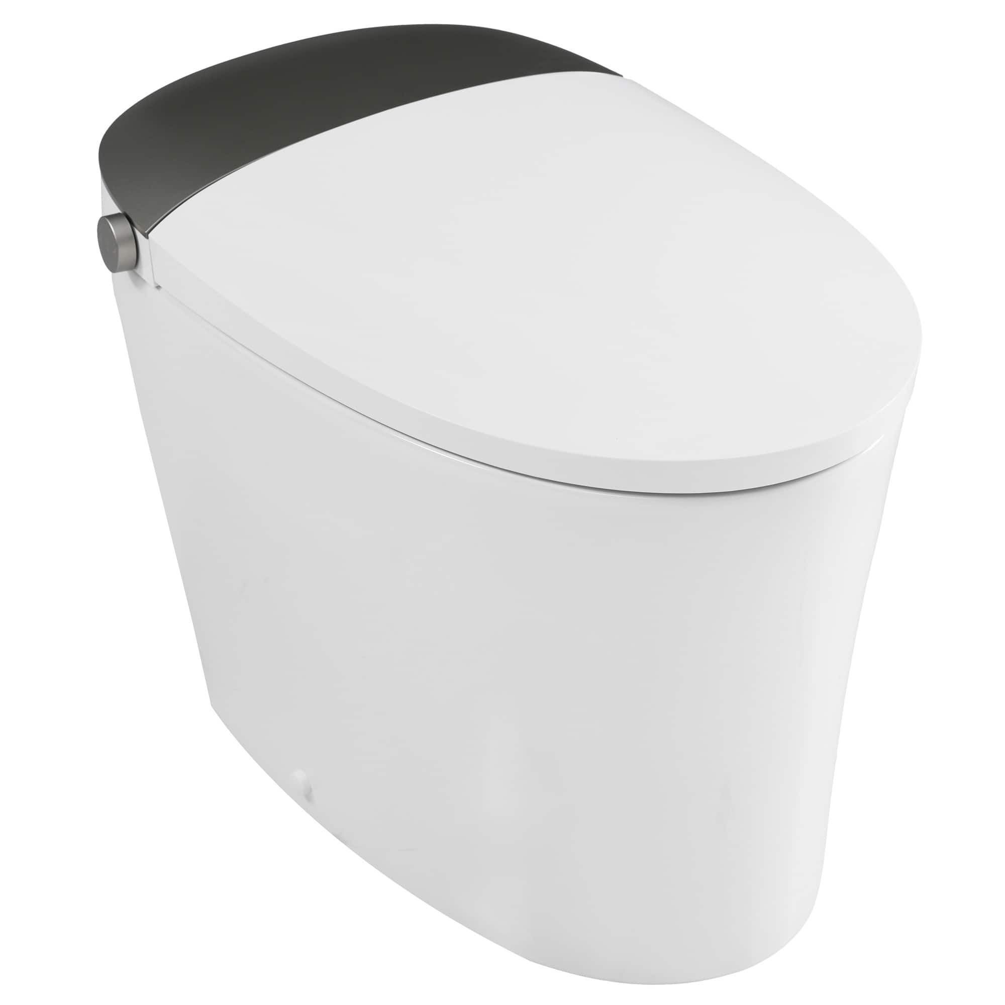 Ecooso - ADA Height Smart Bidet Toilet Combo with Heated Seat, Warm Dryer, Dual Flush 1/1.28 GPF - Silver grey