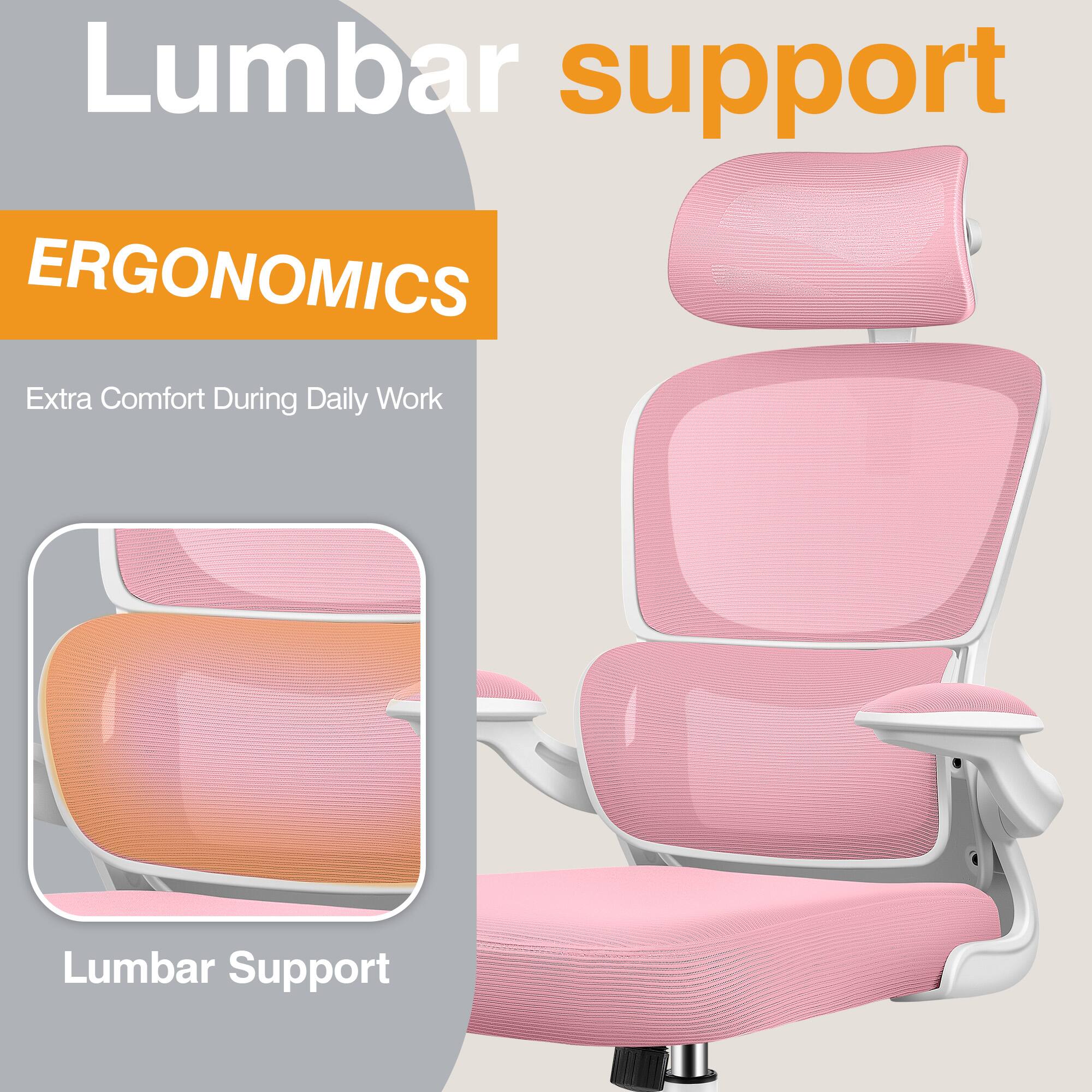 Lumbar support

ERGONOMICS

Extra Comfort During Daily Work

Lumbar Support