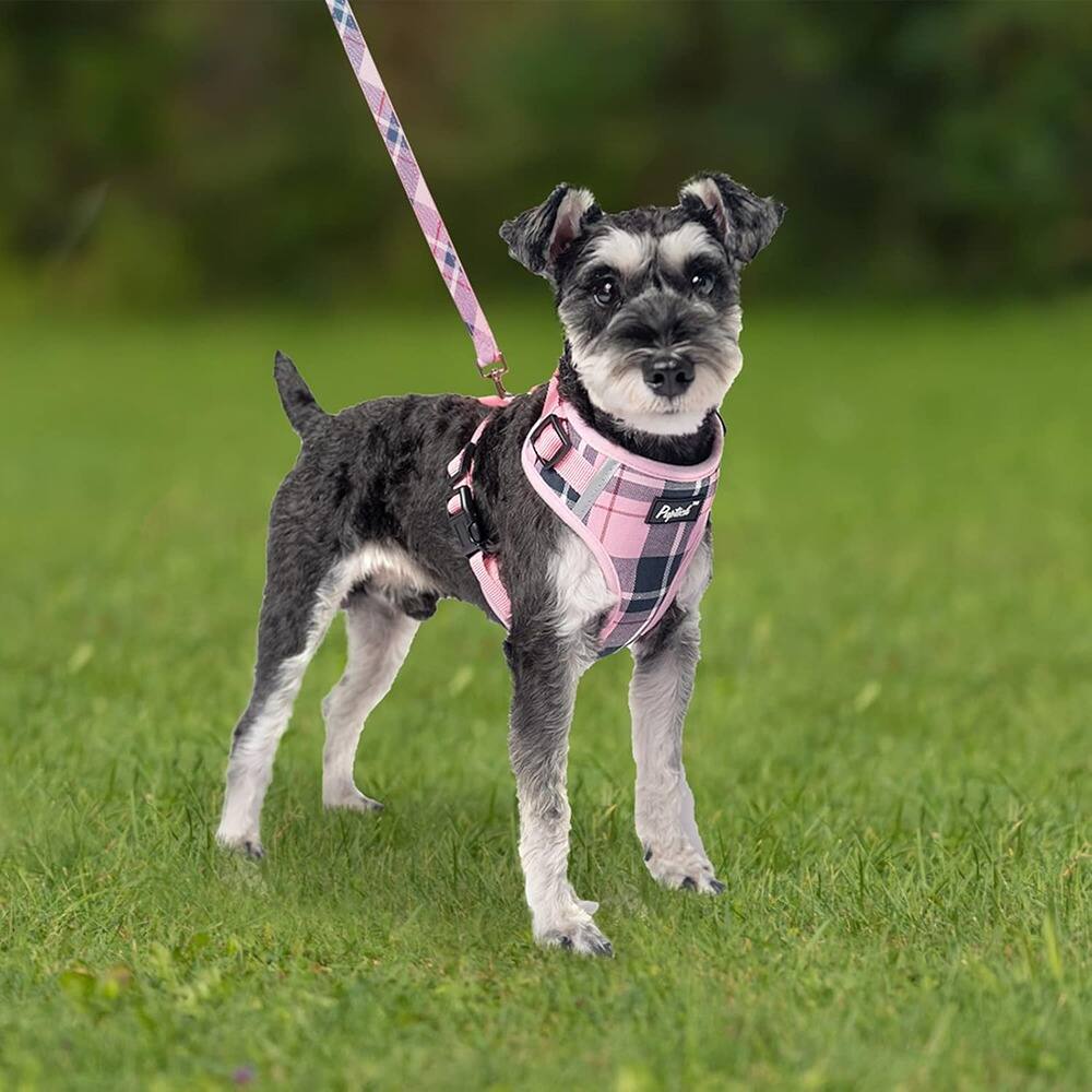Left. MOSZAR LLC - Dog Harness & Leash Set, No Pull, Adjustable, Reflective, Soft Mesh Padded Plaid, Pink XS for Small/Medium Dogs & Cats - Pink.