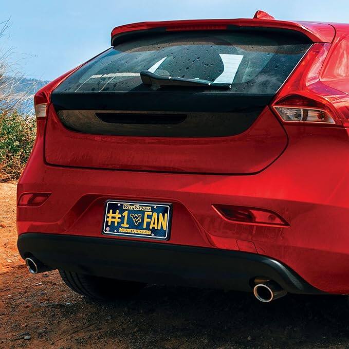 West Virginia  
#1 FAN  
MOUNTAINEERS