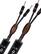 Angle. AudioQuest - 10' Speaker Cable - Coffee/Black.