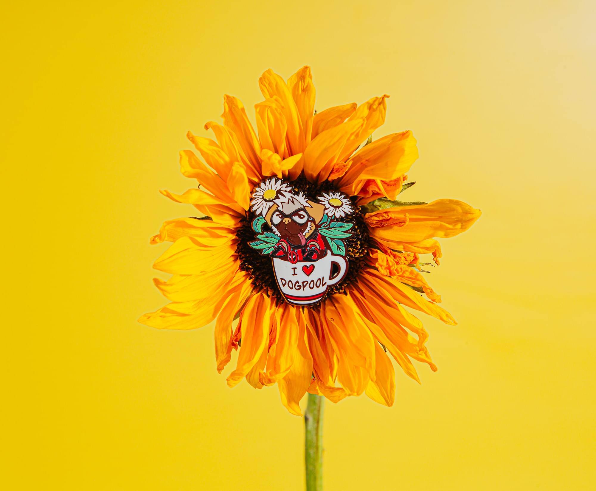 media item thumbnail