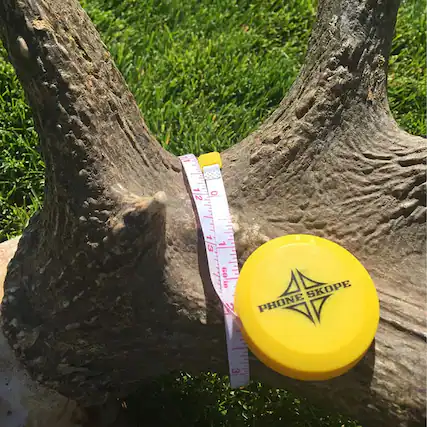 1 1/2 2 0 1 3 1 09 in L A SKOPE PHONE 3