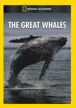 The Great Whales - DVD