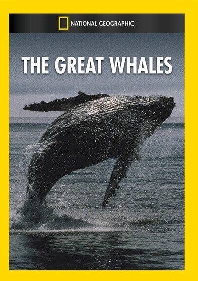 The Great Whales - DVD