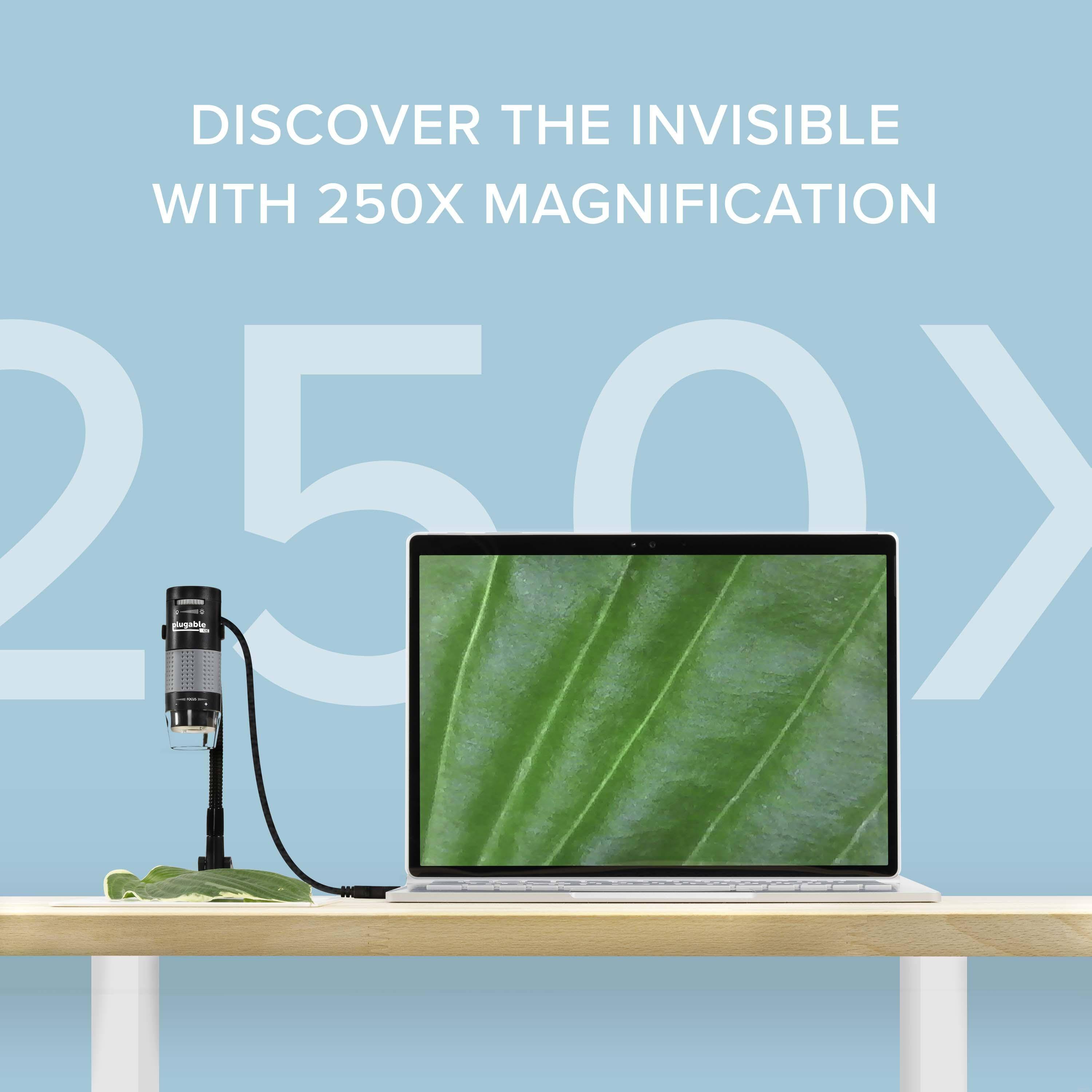 DISCOVER THE INVISIBLE WITH 250X MAGNIFICATION